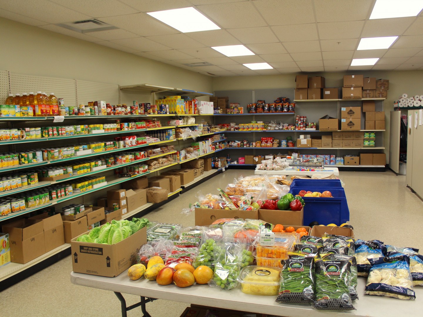 Grocery Pantry Program Kalamazoo Loaves & Fishes